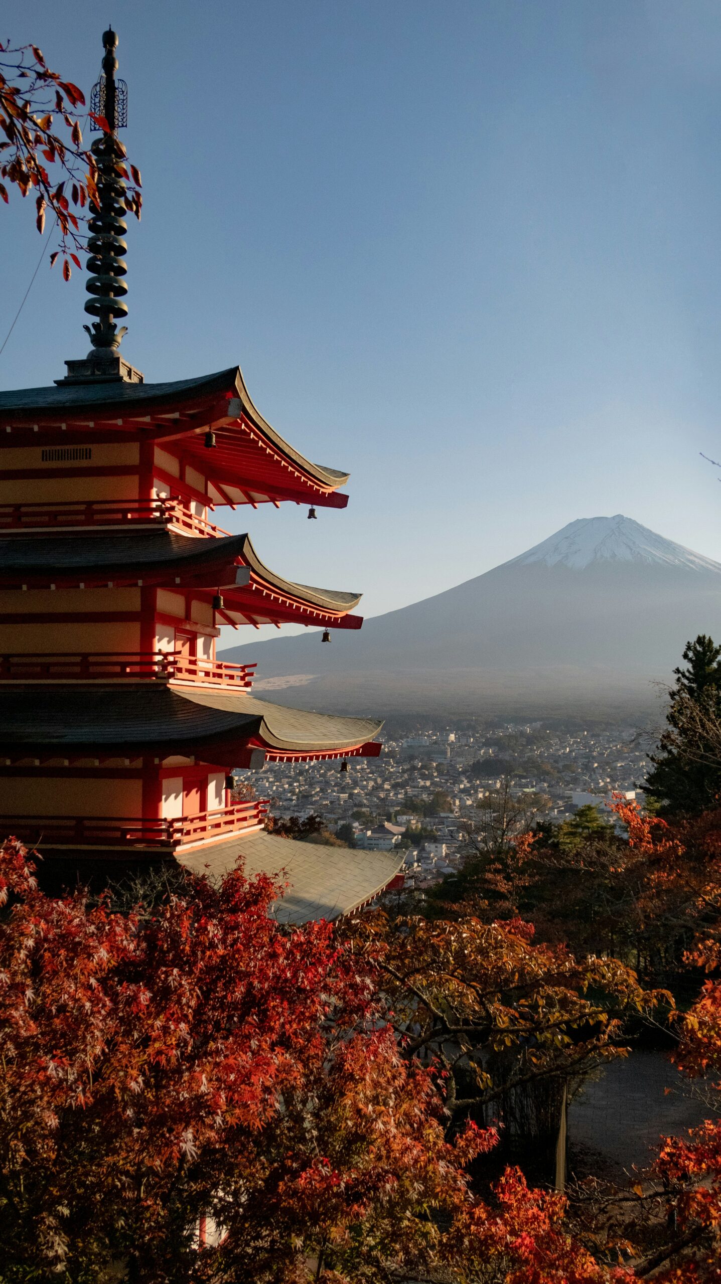 Momiji encadrant le Mont Fuji sous un ciel clair d’automne.